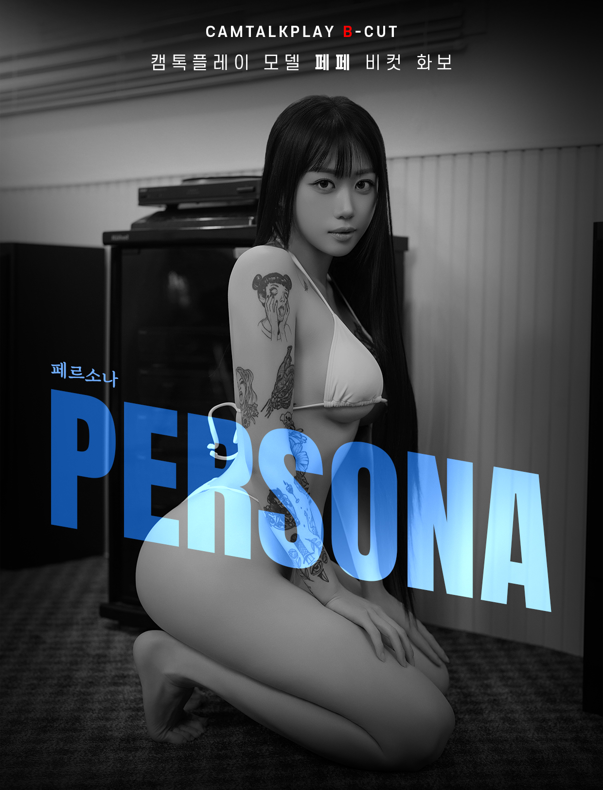PERSONA